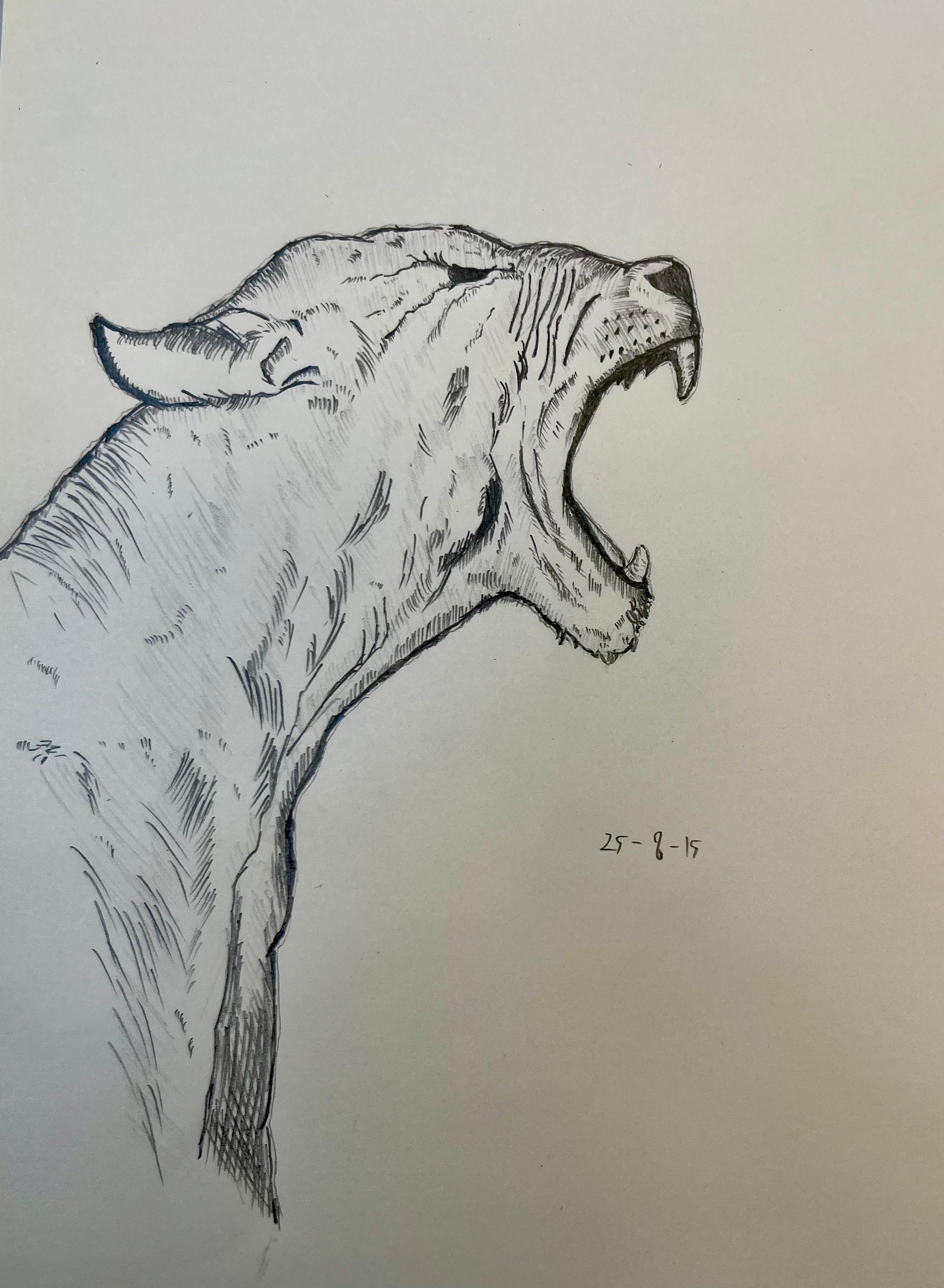wolf 1