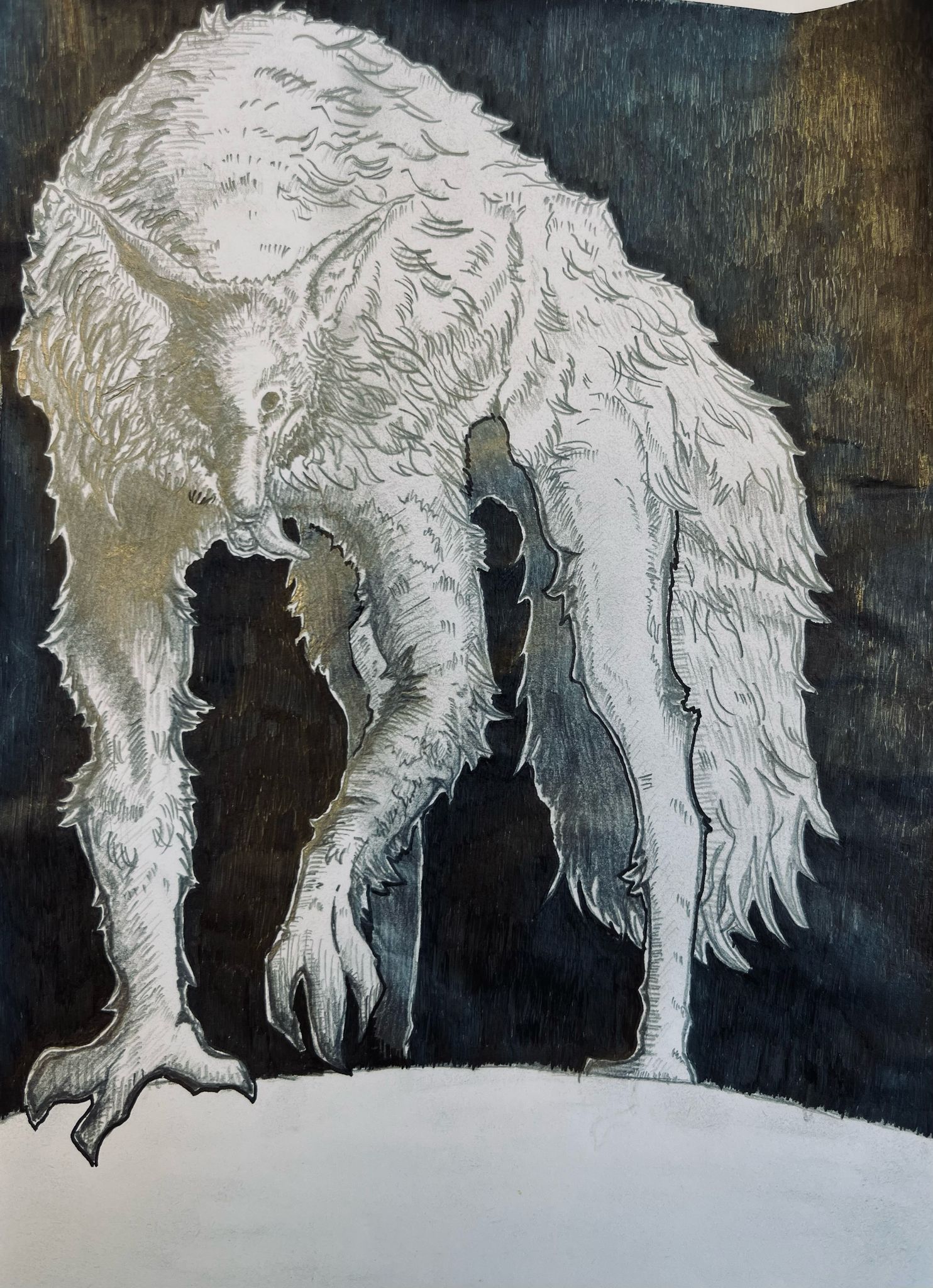 wolf 1
